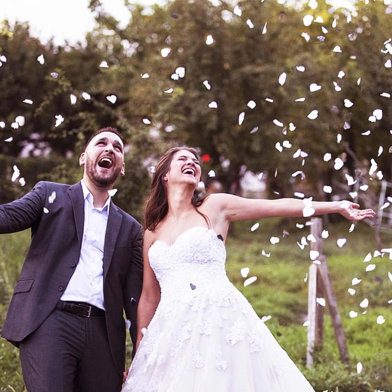 500/1000/3000pcs Colorful Rose Petals Flower Toss Silk Wedding Petal For Party Event Wedding Decoration Christmas Decoration